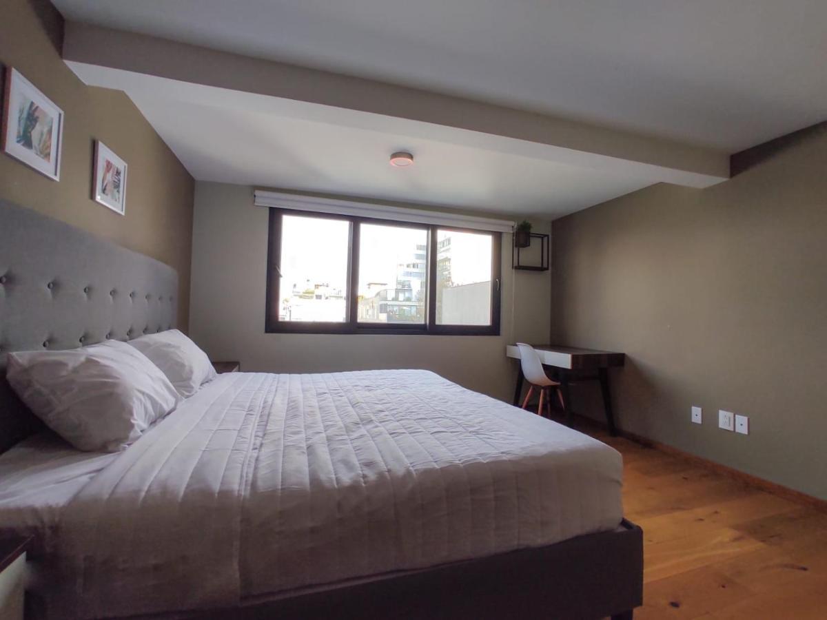 Singular Socrates Otel Meksika Dış mekan fotoğraf