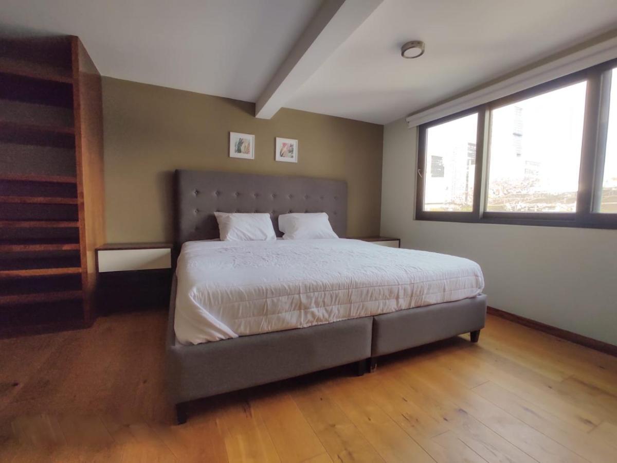 Singular Socrates Otel Meksika Dış mekan fotoğraf
