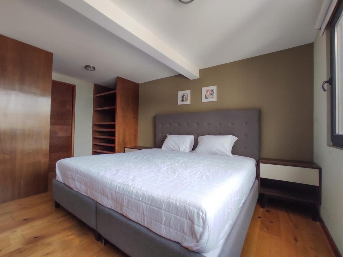 Singular Socrates Otel Meksika Dış mekan fotoğraf