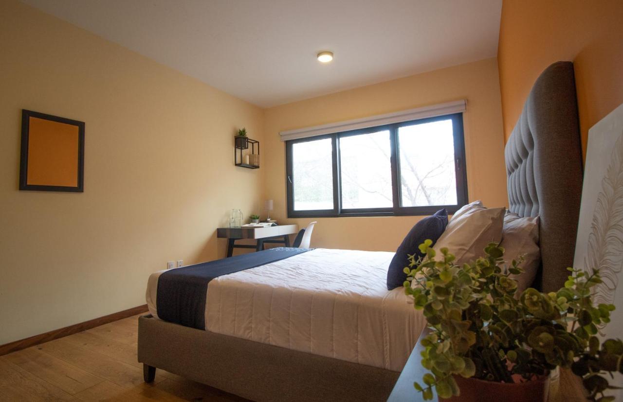 Singular Socrates Otel Meksika Dış mekan fotoğraf