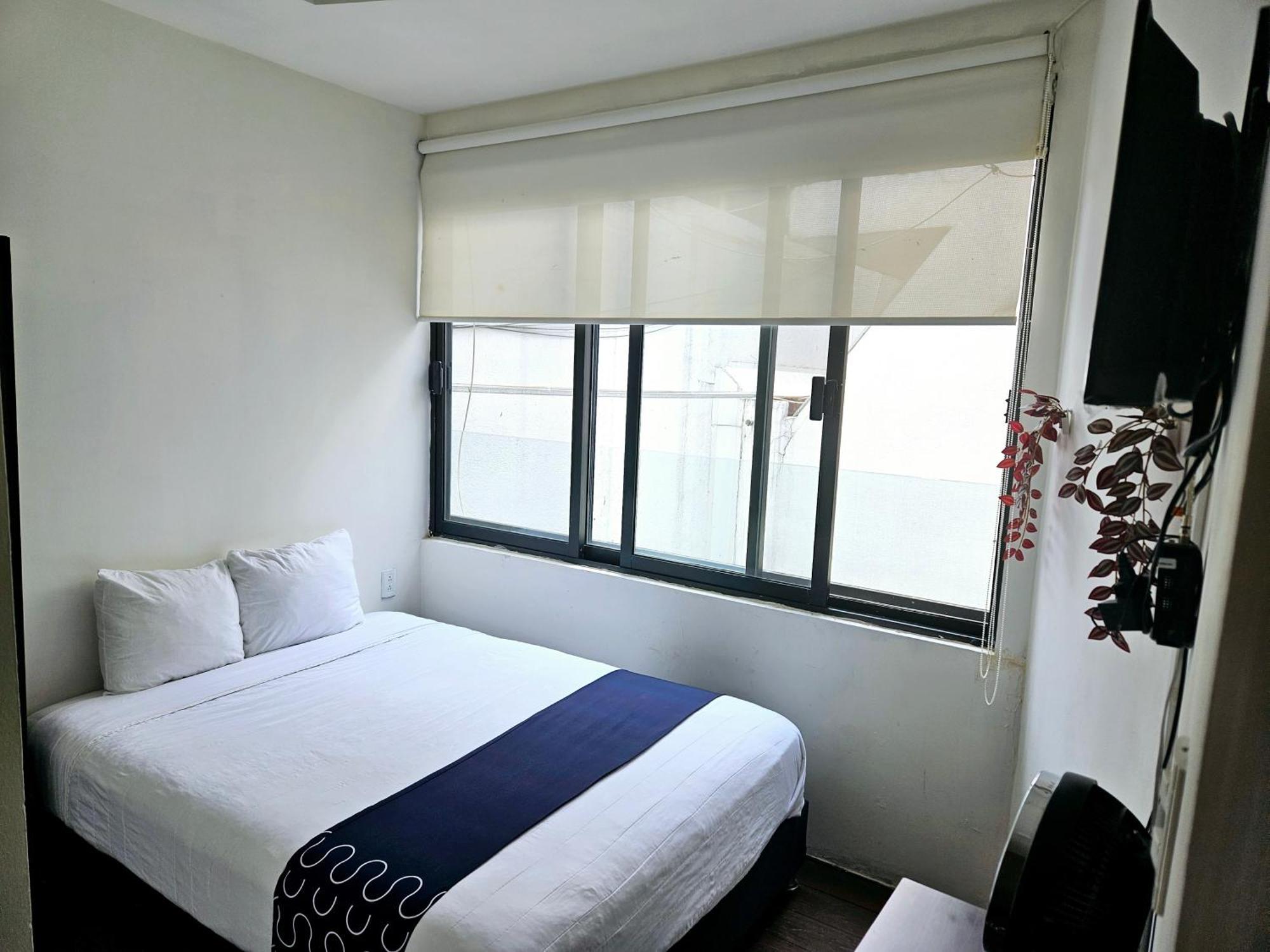 Singular Socrates Otel Meksika Dış mekan fotoğraf