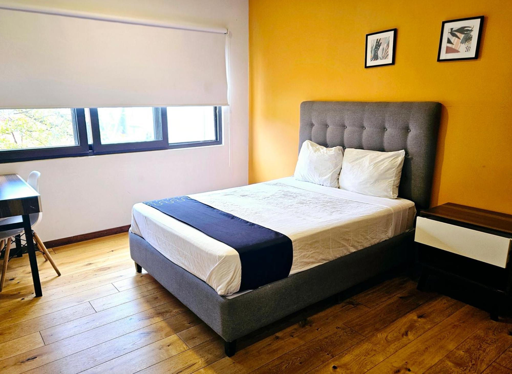 Singular Socrates Otel Meksika Dış mekan fotoğraf