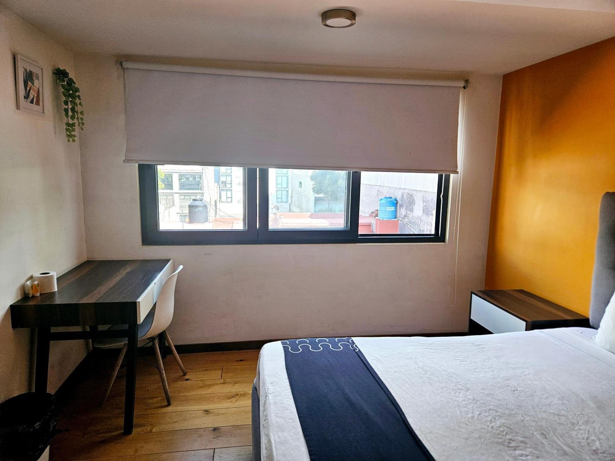 Singular Socrates Otel Meksika Dış mekan fotoğraf