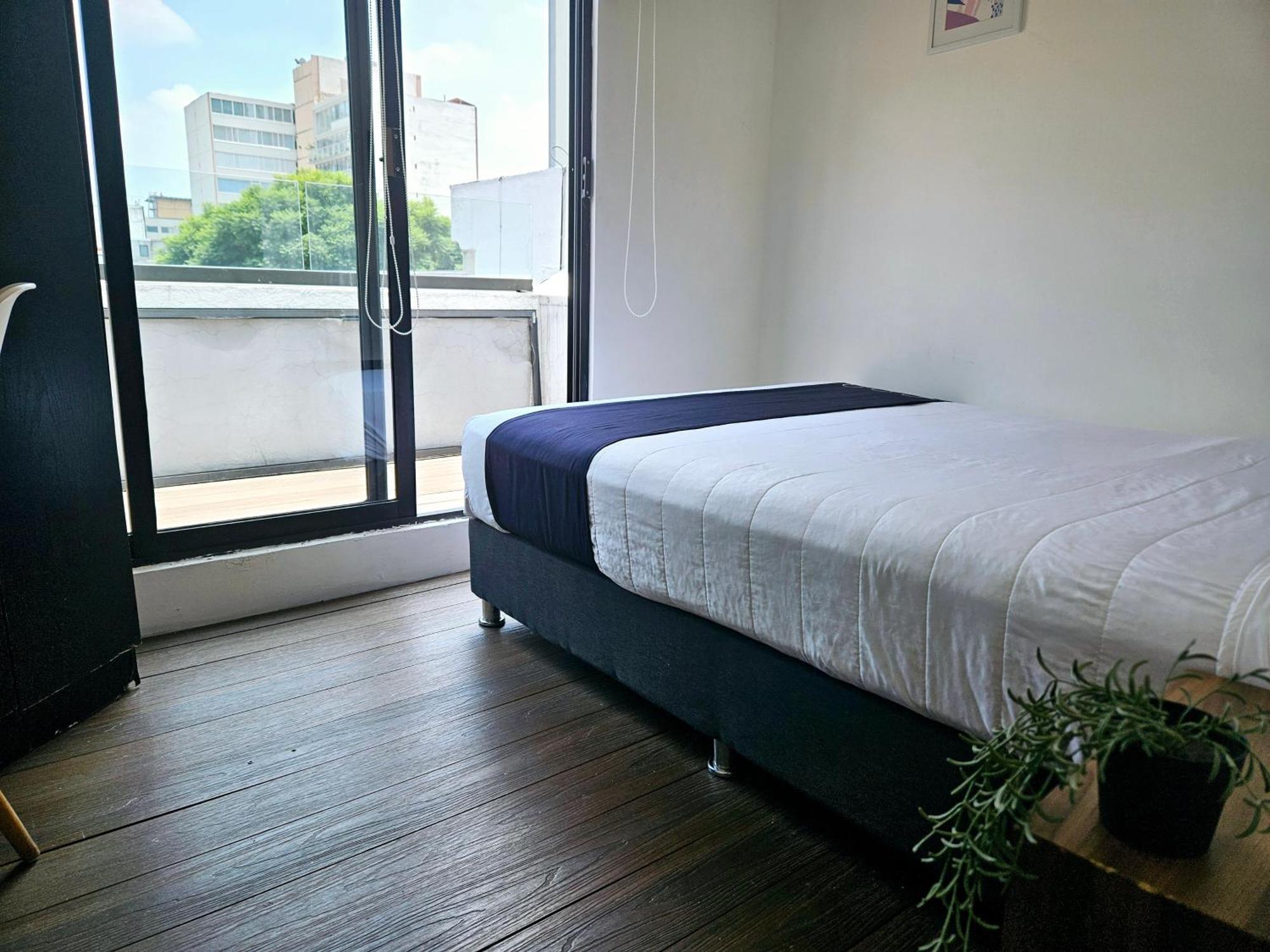 Singular Socrates Otel Meksika Dış mekan fotoğraf