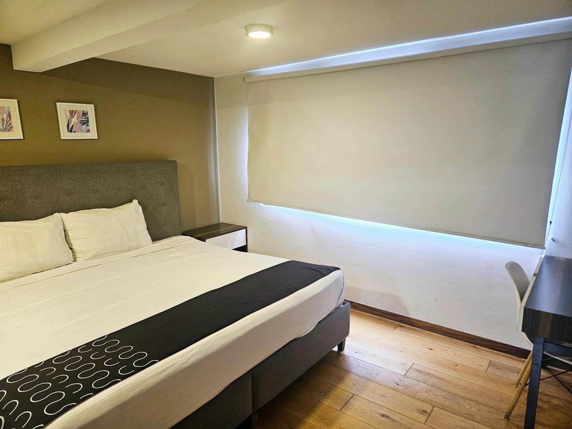 Singular Socrates Otel Meksika Dış mekan fotoğraf