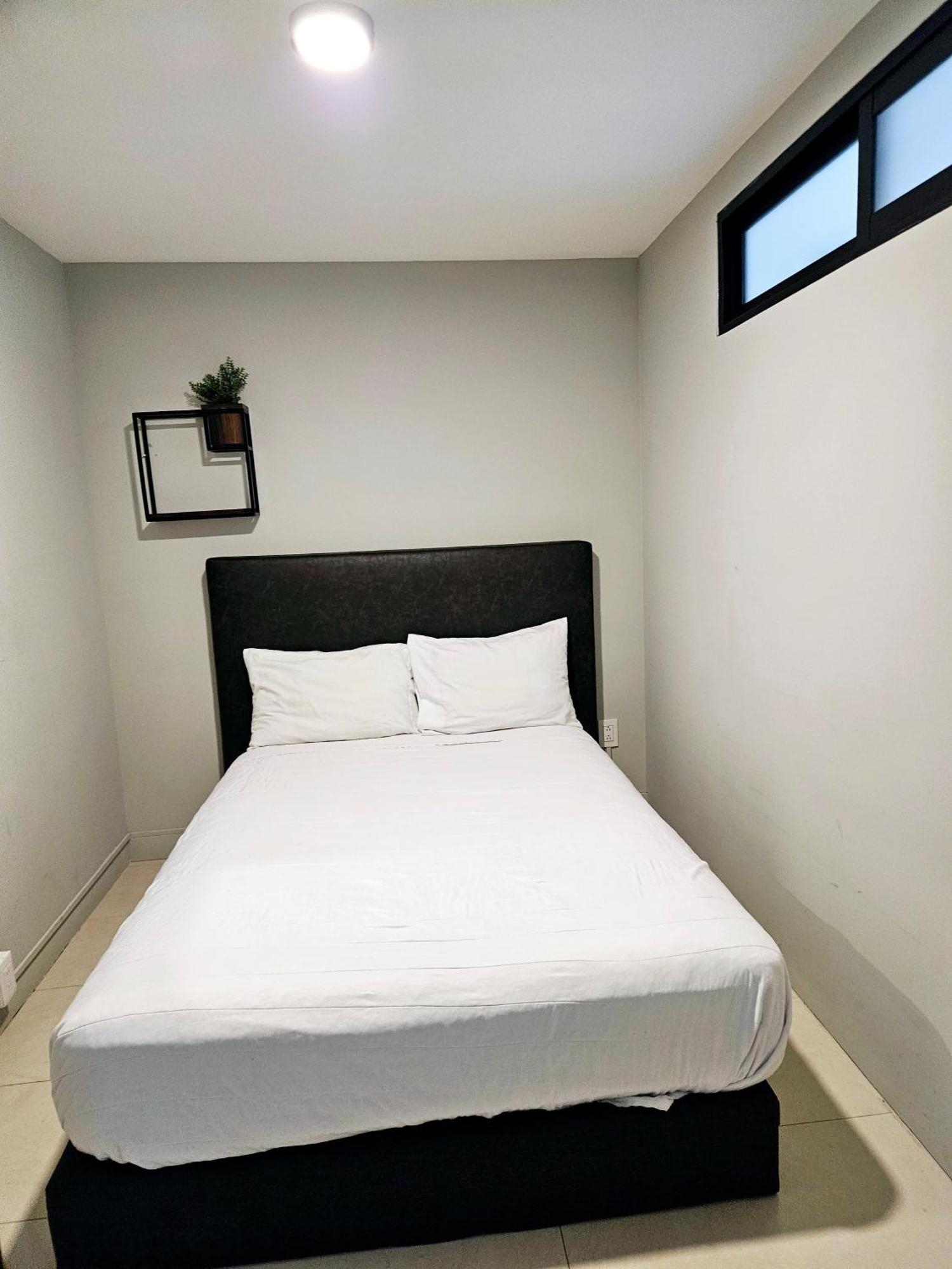 Singular Socrates Otel Meksika Dış mekan fotoğraf